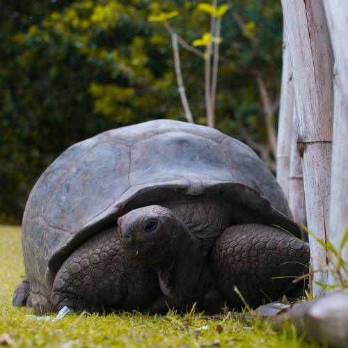 zorganizowany rejs morski na Seszele