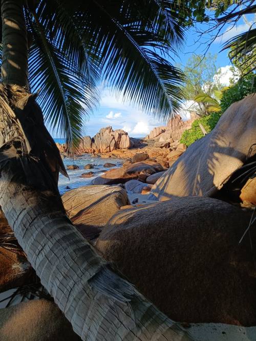 zorganizowany rejs morski na Seszele