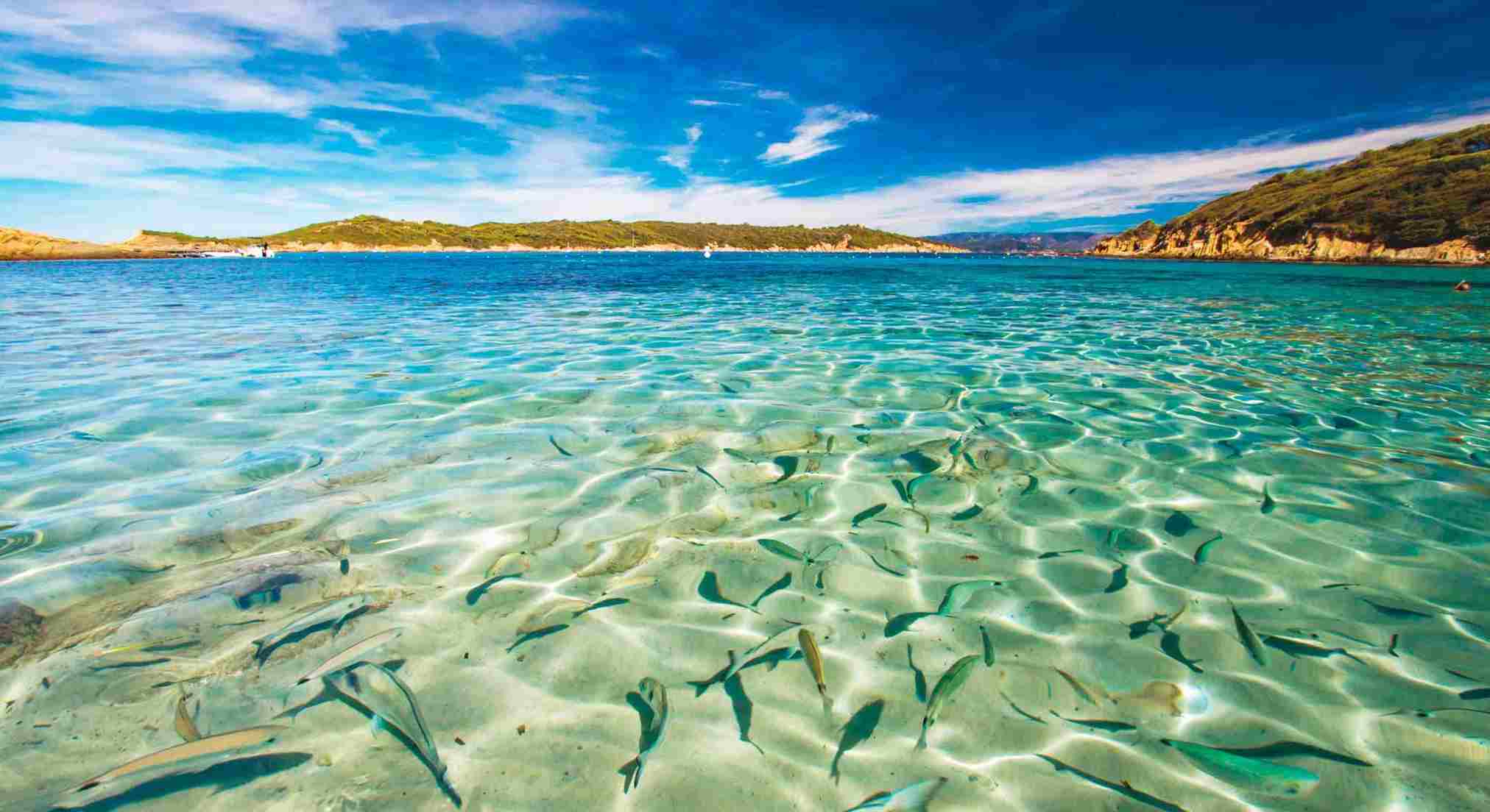 Park Narodowy Port-Cros