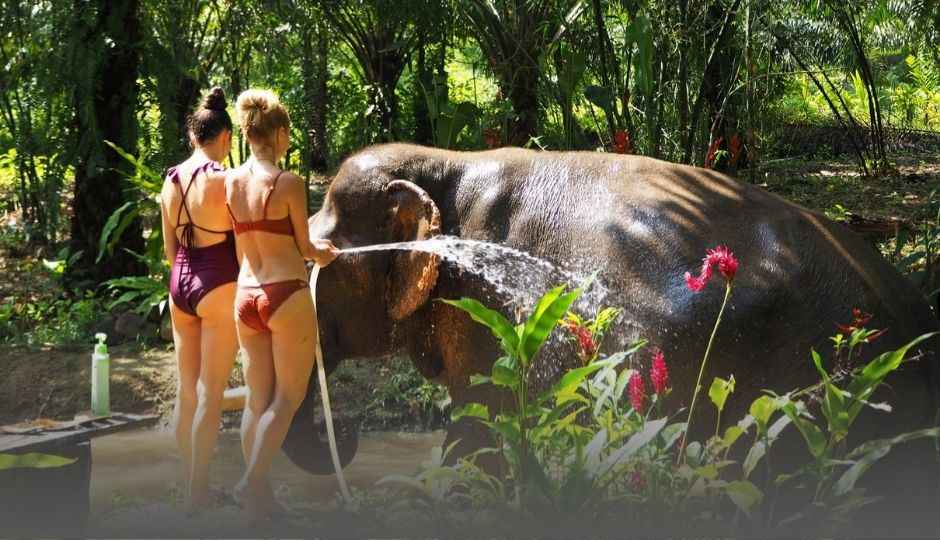 Kąpiel ze słoniami!