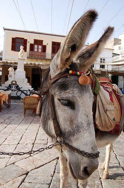 Rejs Jachtem w Grecji po Zatoce Sarońskiej